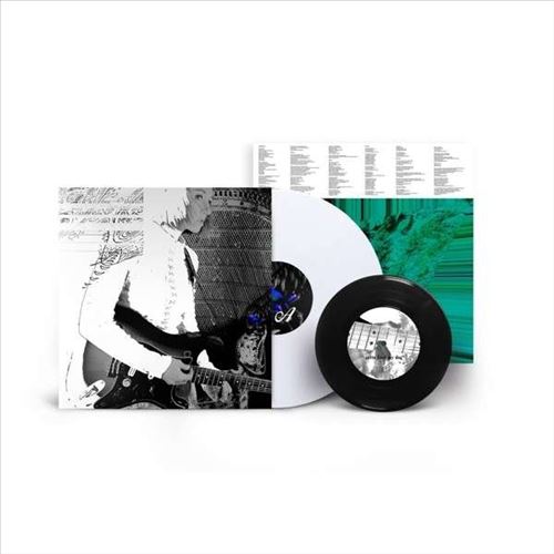 Into the Blue cover art
