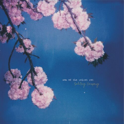 Solitary Company cover art
