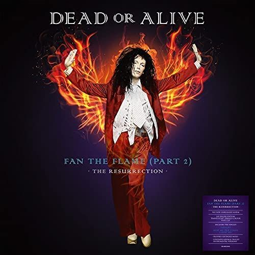 Fan the Flame, Pt. 2 cover art