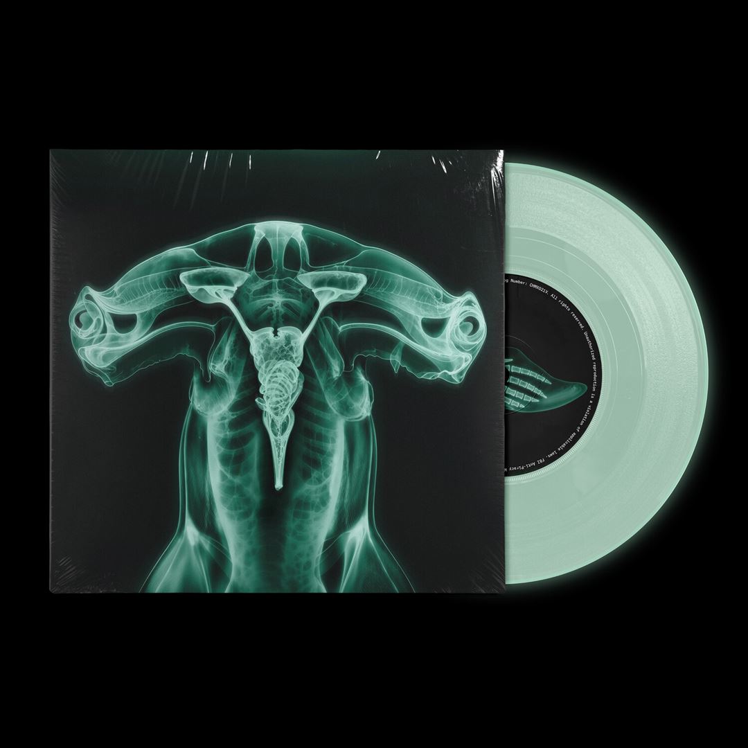 Shark Brain/Dolphin cover art