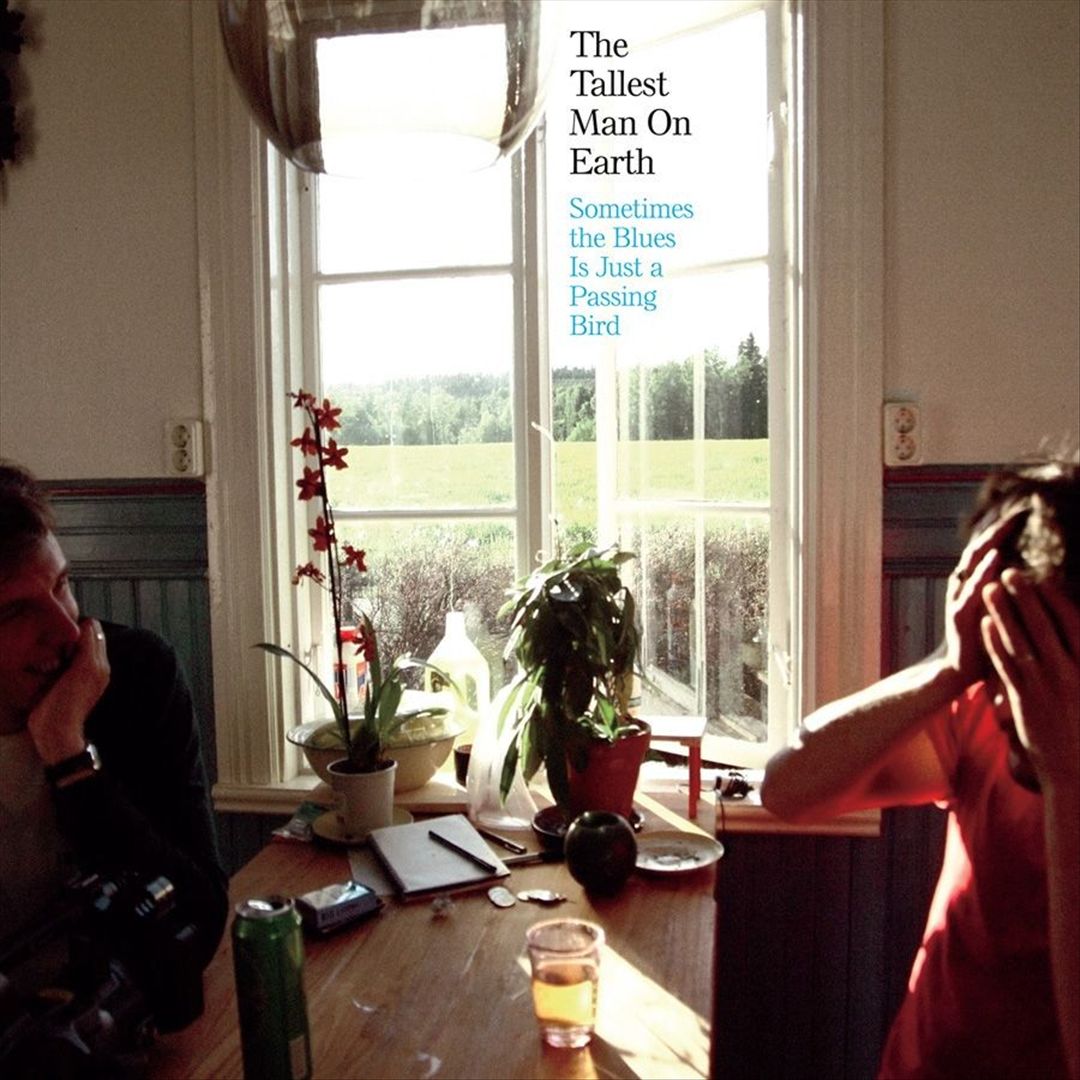 Sometimes the Blues Is Just a Passing Bird cover art