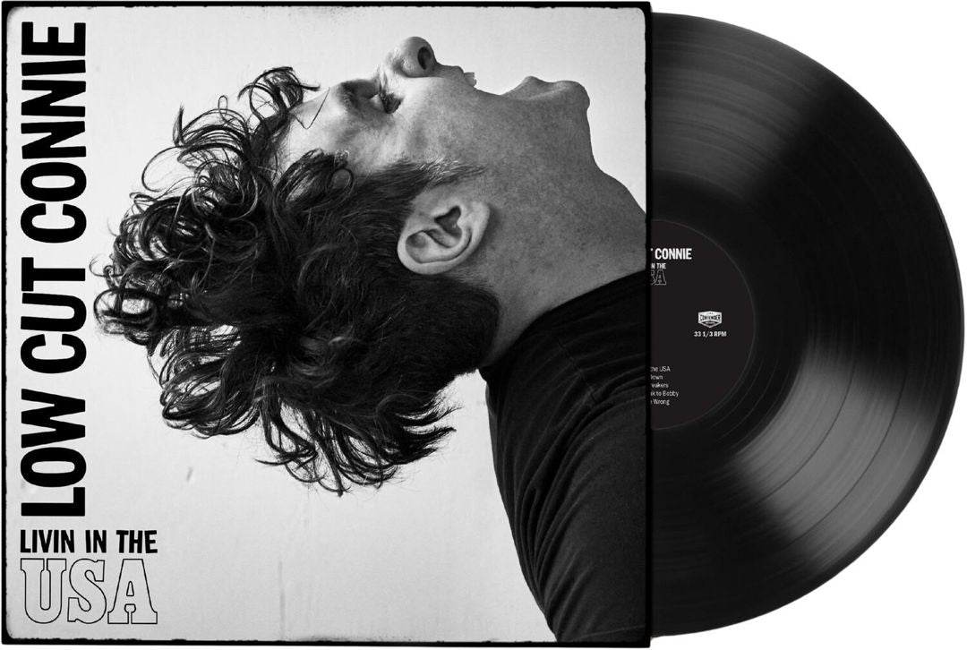 Livin in the USA cover art