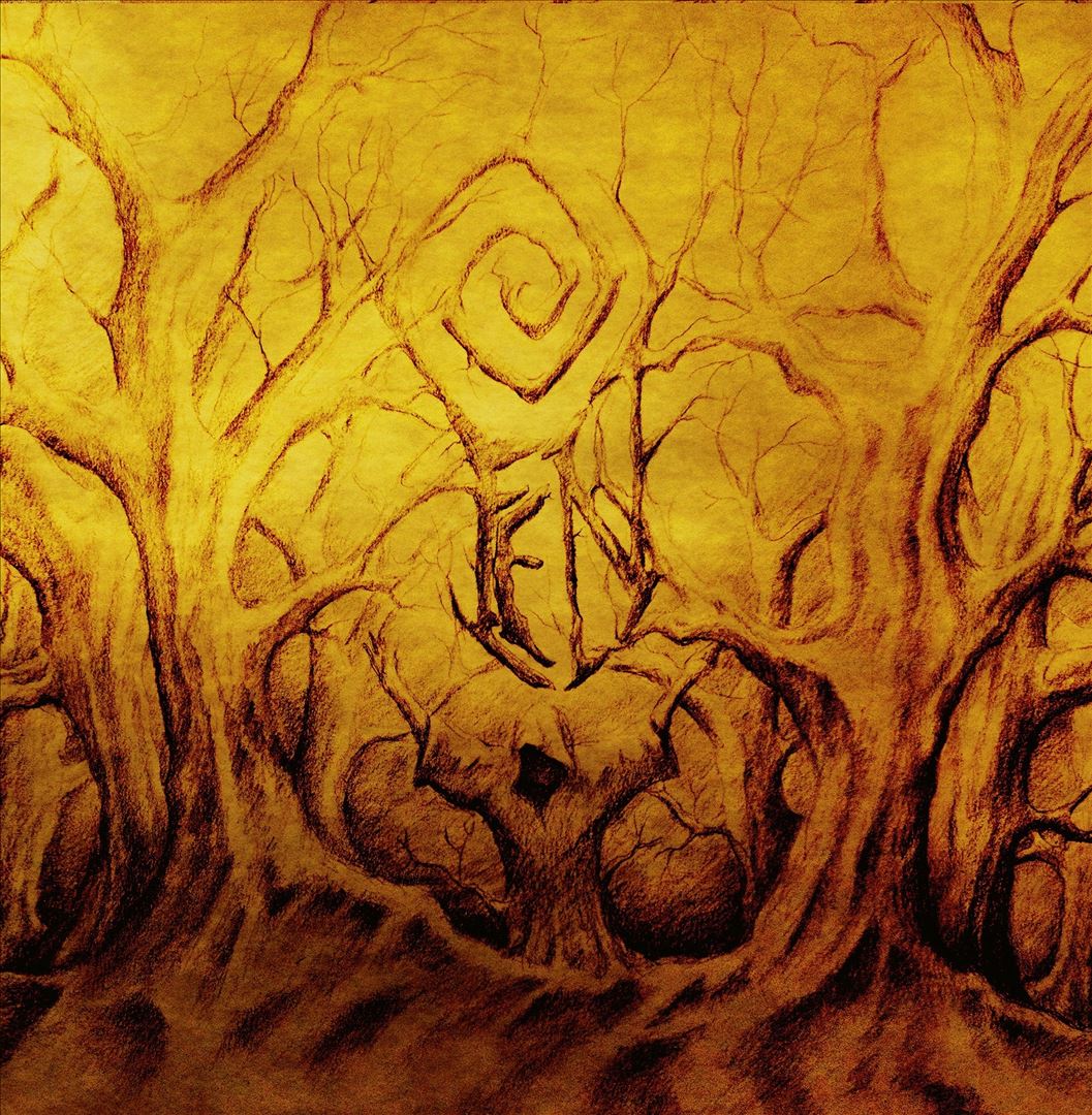 Malediction Fields cover art