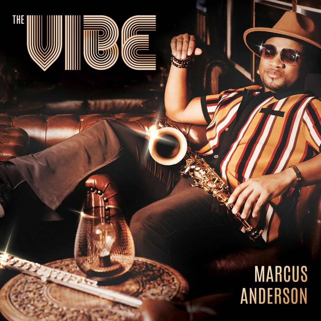 Vibe cover art