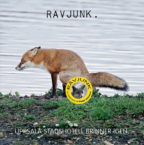 Uppsala Stadshotell Brinner Igen. cover art