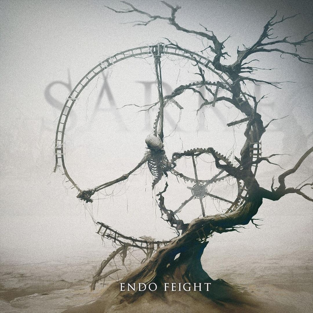 Endo Feight cover art