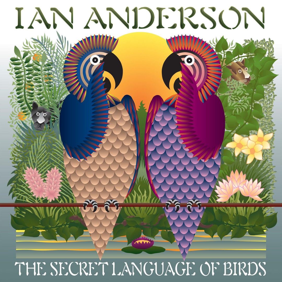 Secret Language of Birds cover art