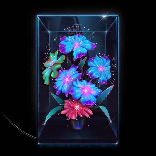 Rosa cover art