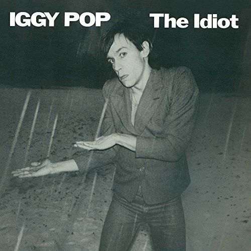 Idiot cover art