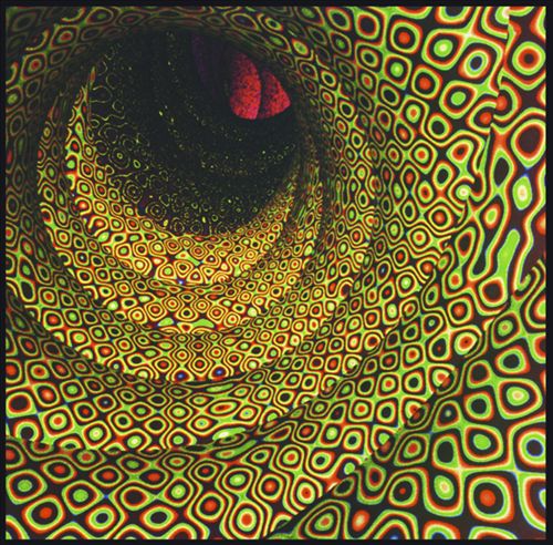 Magic Seed cover art