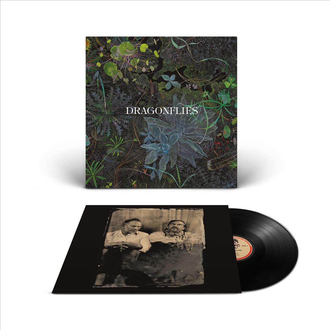 Dragonflies cover art
