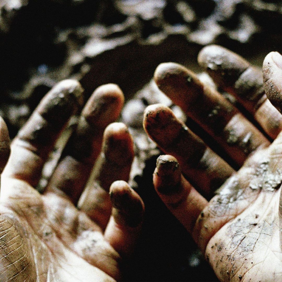 What to Make of These Mortal Hands cover art