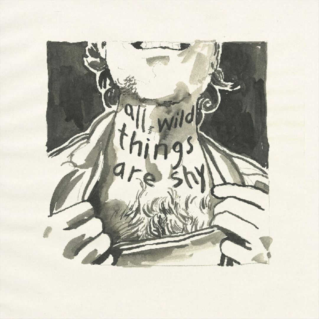 All Wild Things Are Shy cover art