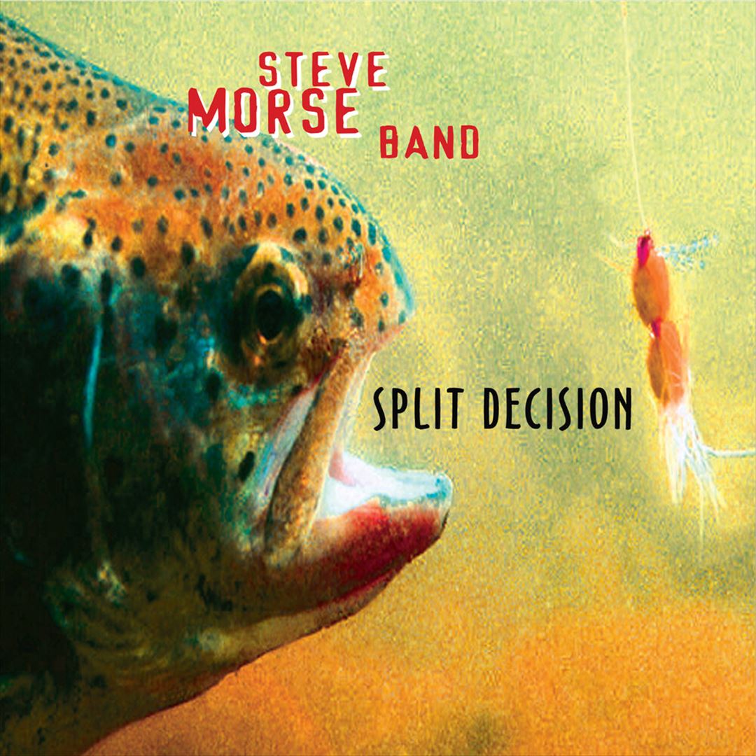 Split Decision cover art