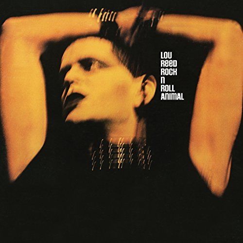 Rock N' Roll Animal cover art
