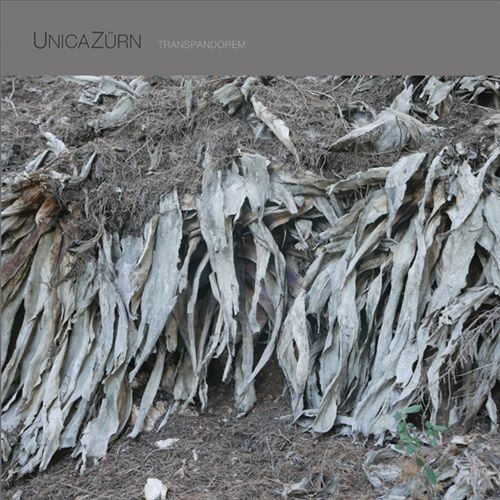Transpandorem cover art