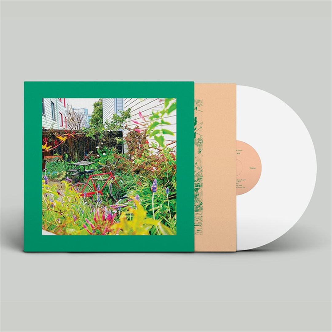 Unwishing Well cover art