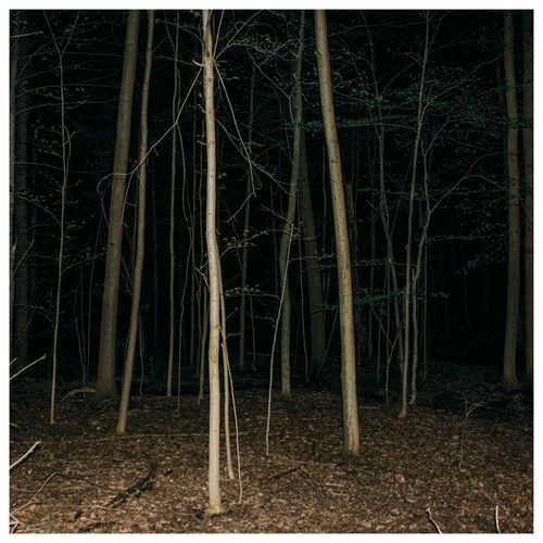 Fixed Rope 2 cover art