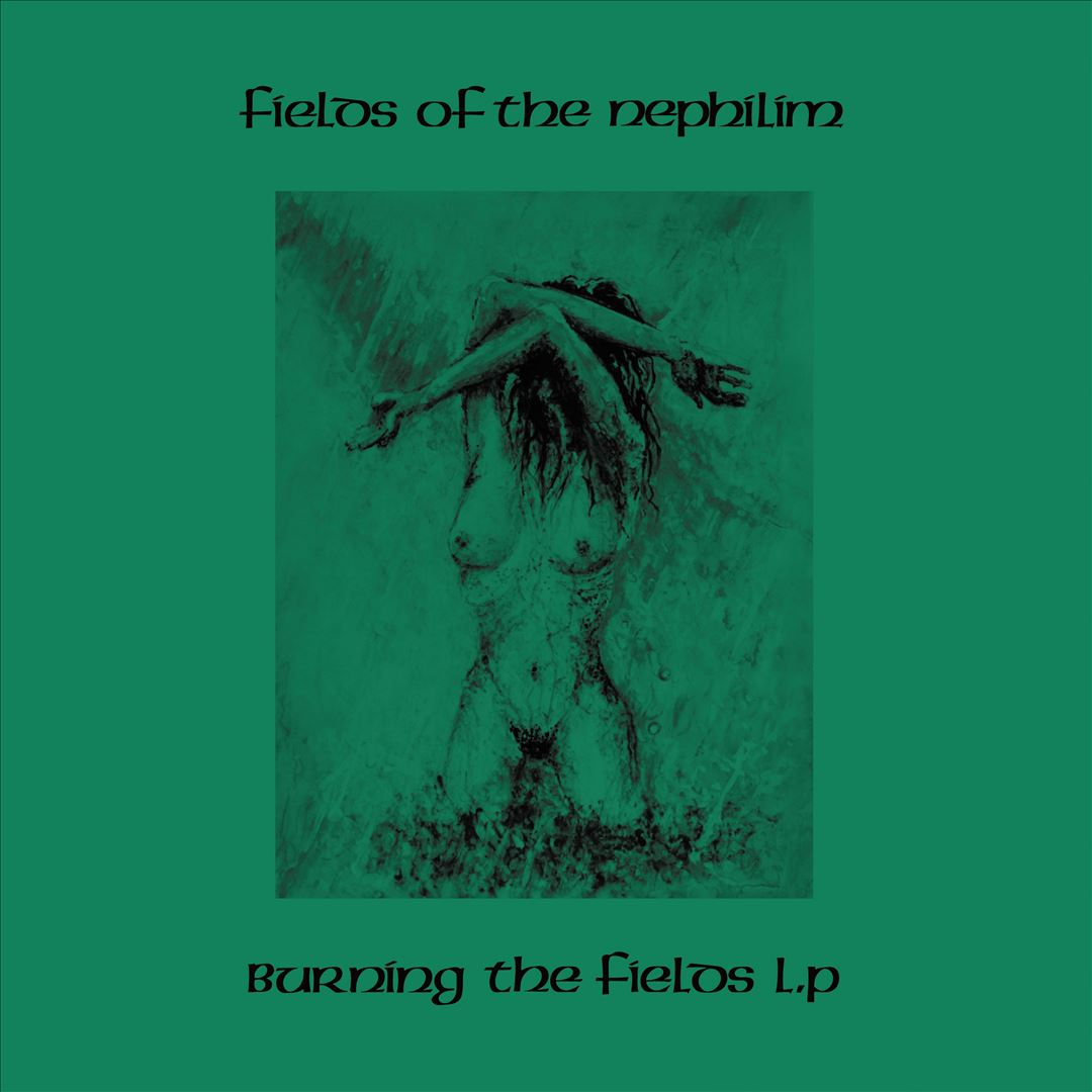 Burning the Fields cover art