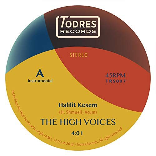 Halilit Kesem/Please Stay cover art