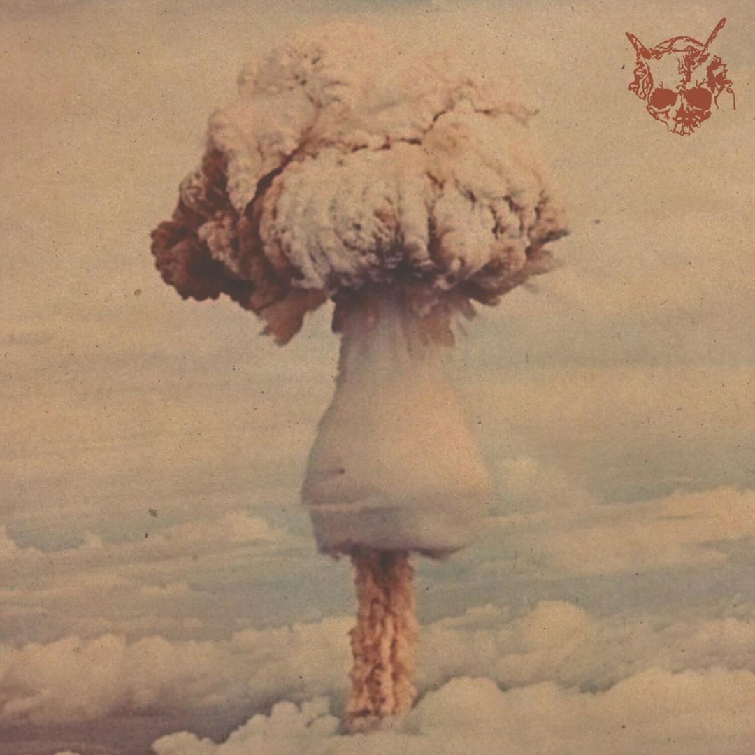 In Dust We Trust cover art