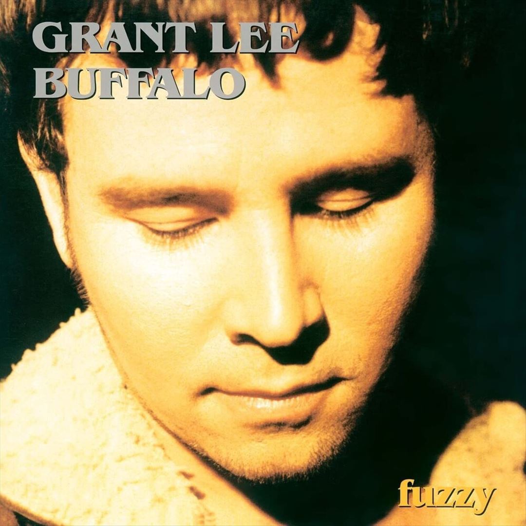 Fuzzy cover art