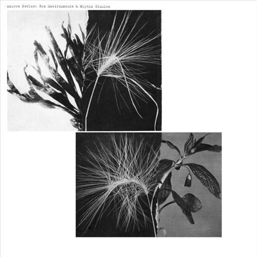 New Environments & Rhythm Studies cover art