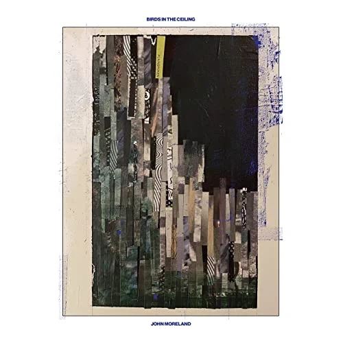 Birds in the Ceiling cover art