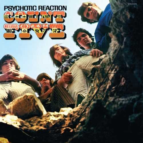 Psychotic Reaction cover art