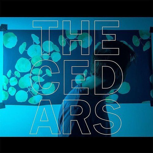 Cedars cover art