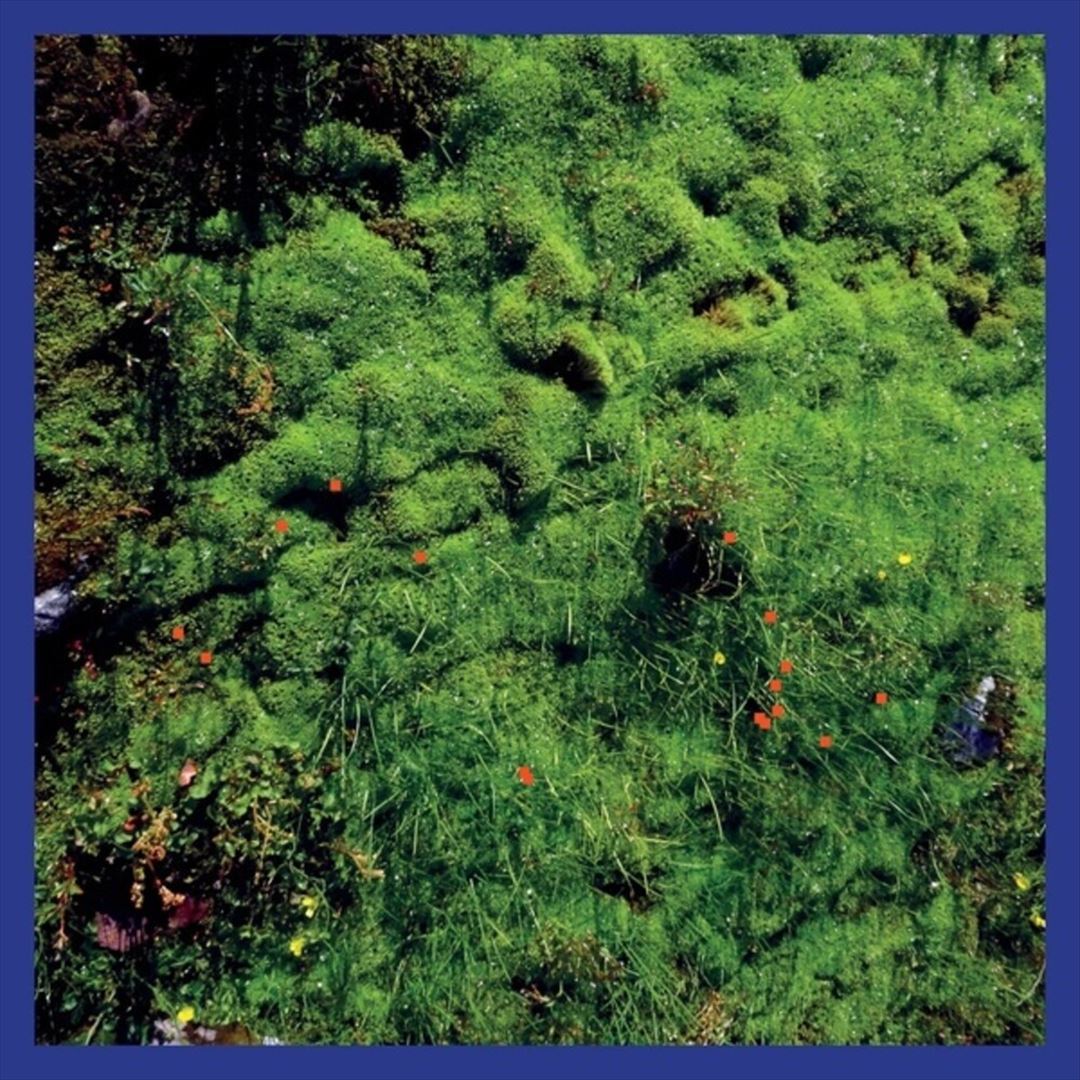 Mt. Hadamard National Park cover art