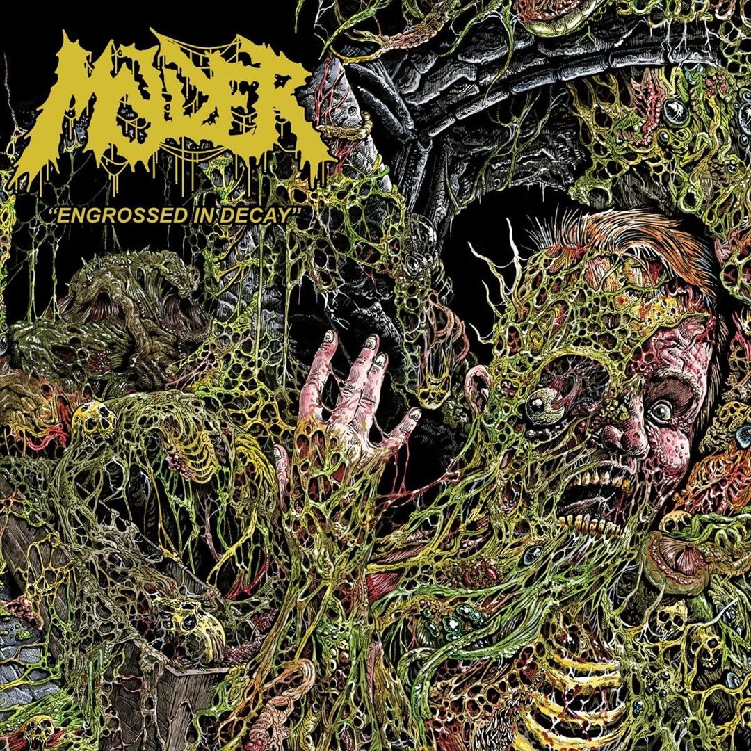 Engrossed in Decay cover art