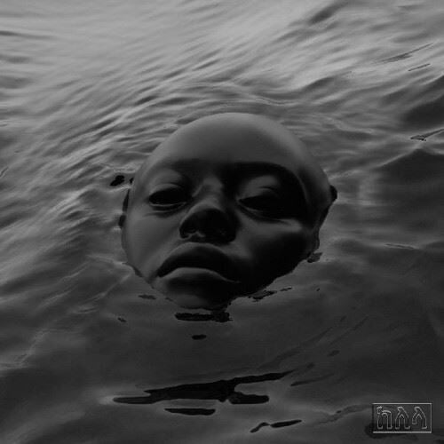Raven cover art