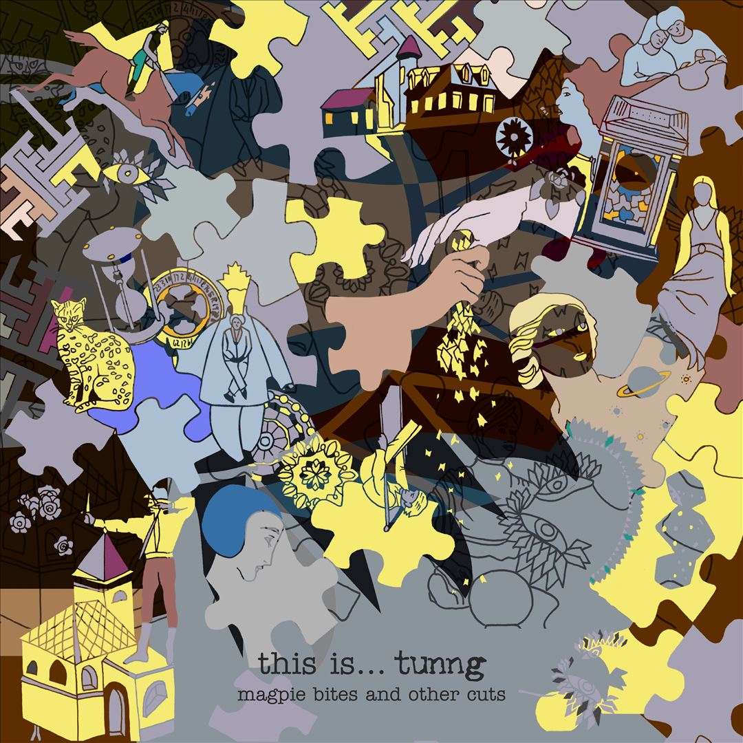 This Is... Tunng: Magpie Bites and Other Cuts cover art