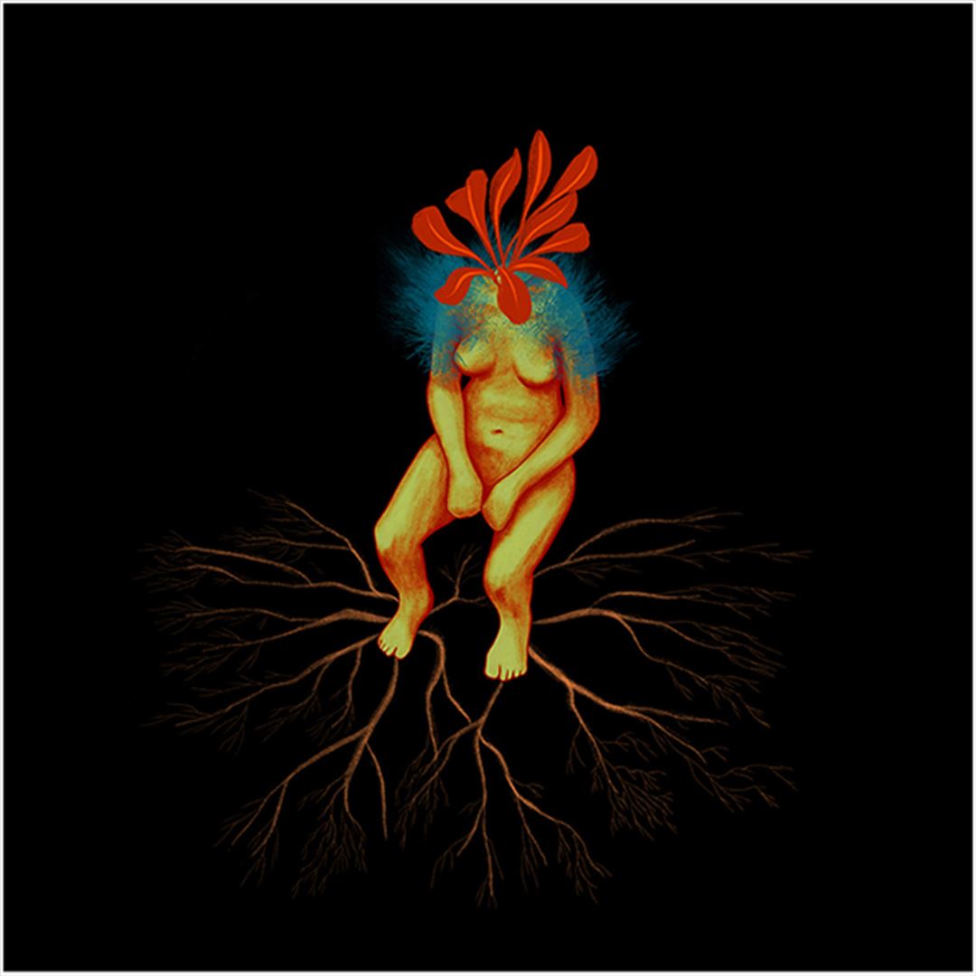 Sun Cutter cover art
