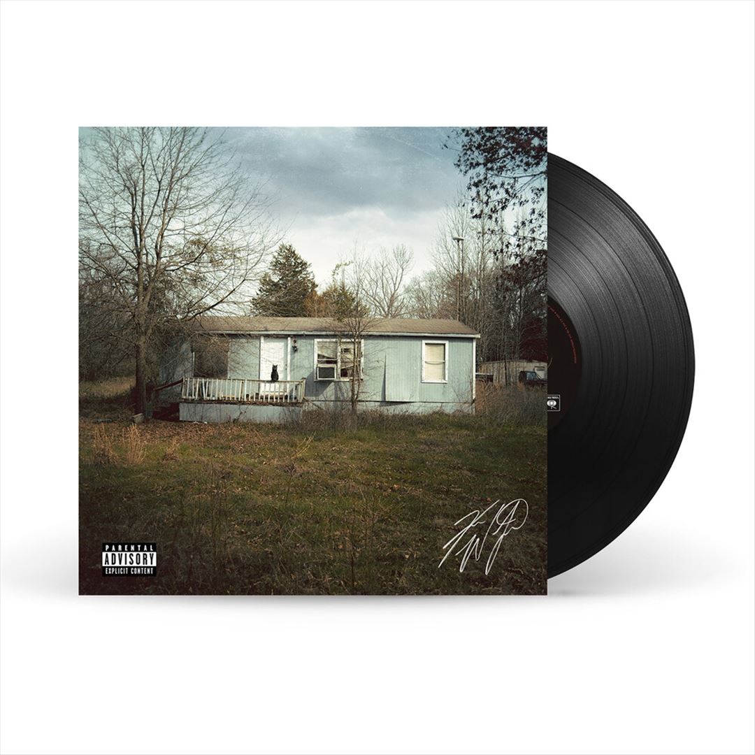 9 Lives cover art