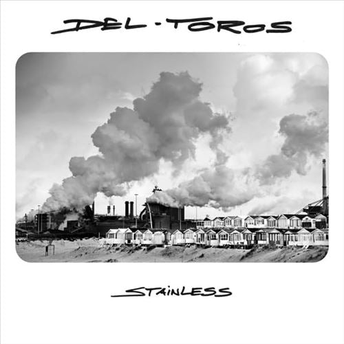 Stainless cover art