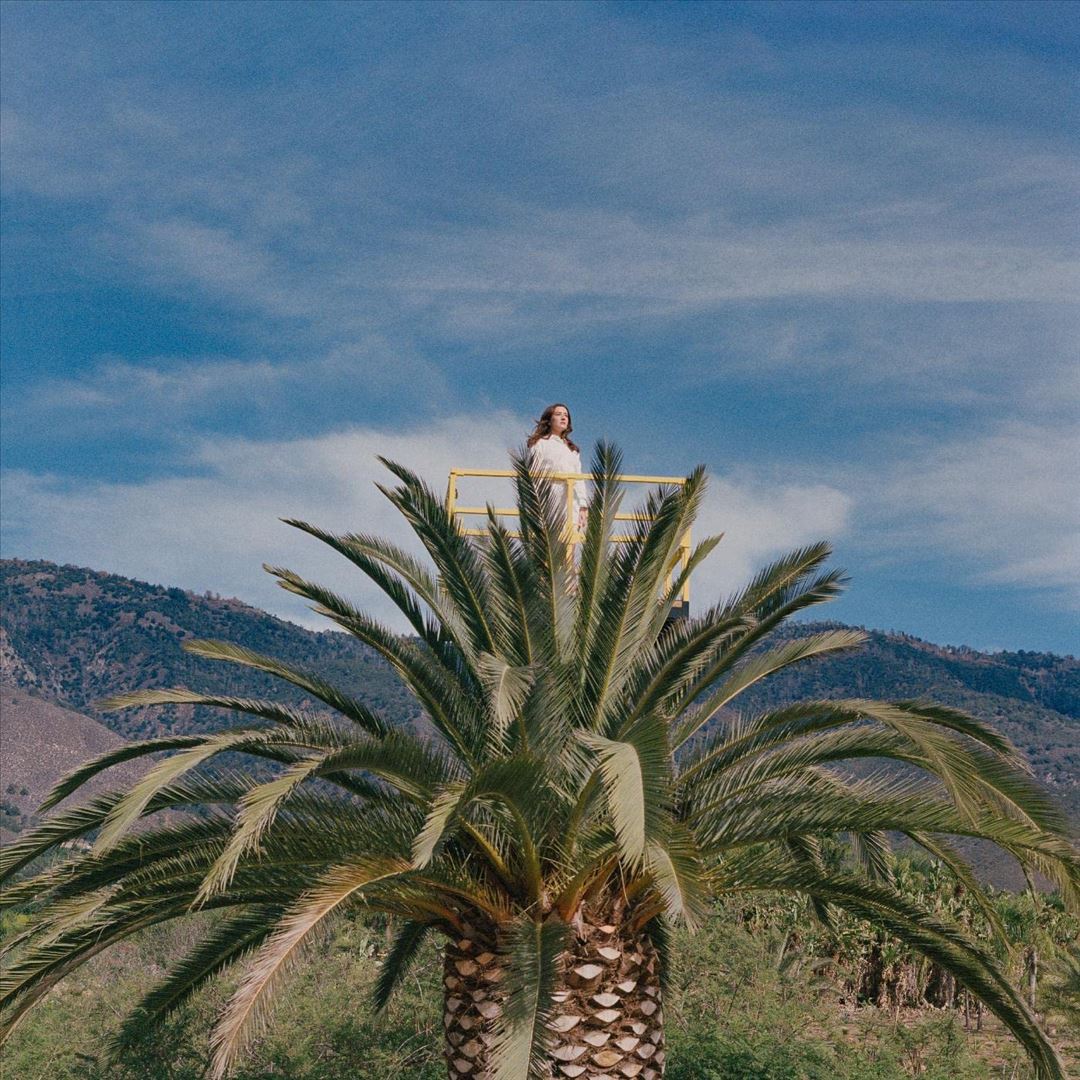 Love Hallucination cover art