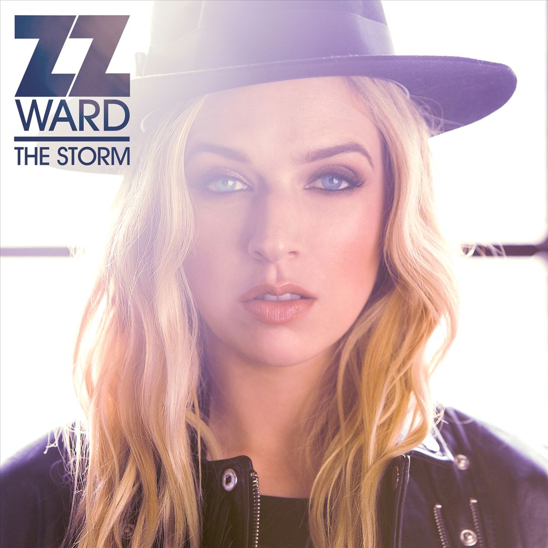 Storm cover art