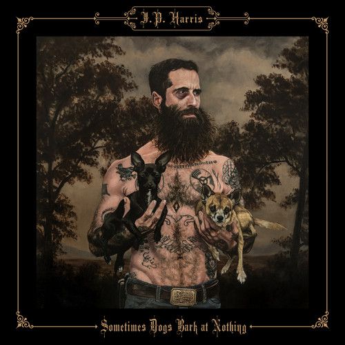 Sometimes Dogs Bark at Nothing cover art