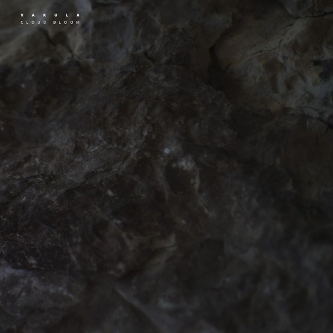 Cloud Bloom cover art