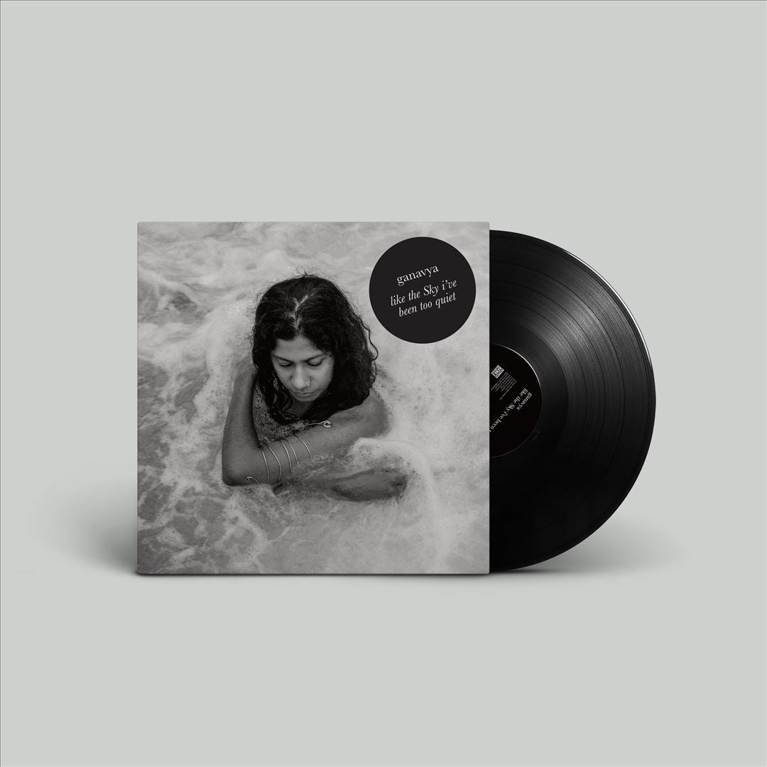 Like the Sky I've Been Too Quiet cover art