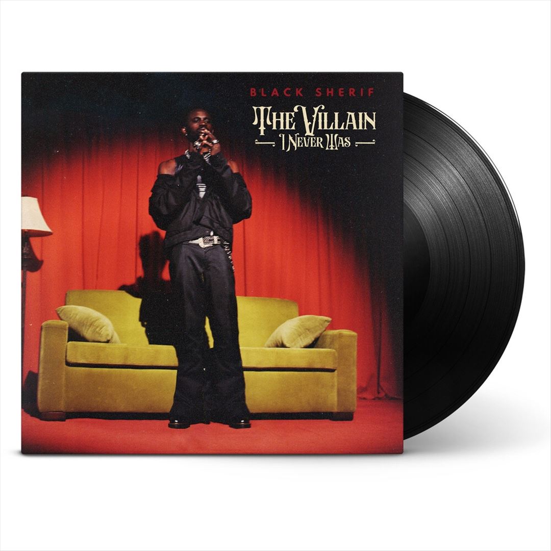 Villain I Never Was cover art