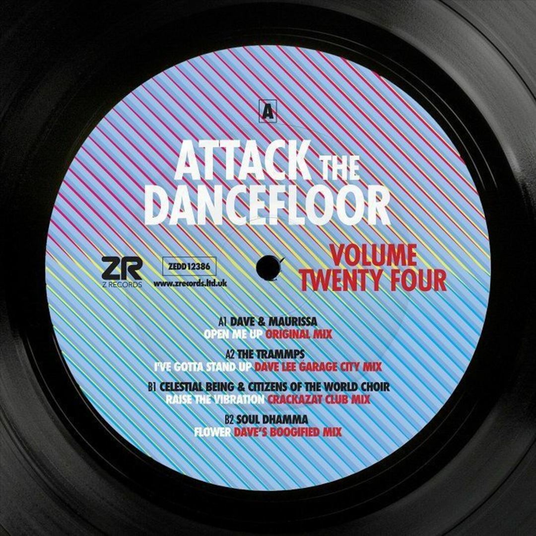 Attack the Dancefloor, Vol. 24 cover art