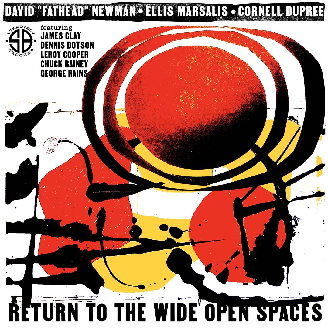 Return to the Wide Open Spaces cover art