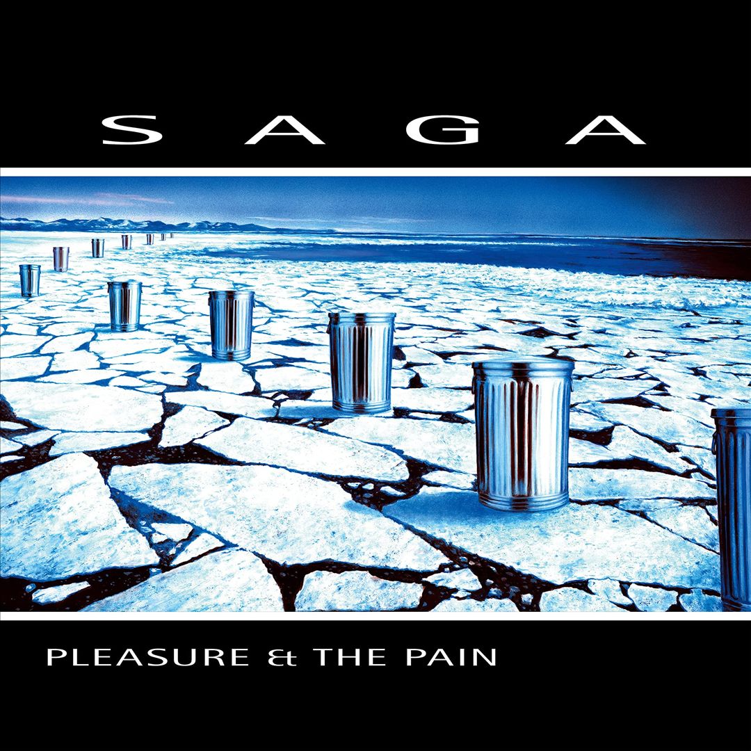 Pleasure & The Pain cover art