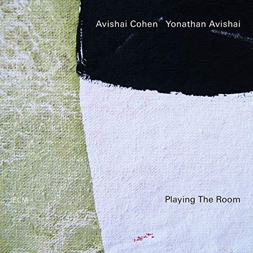 Playing the Room cover art