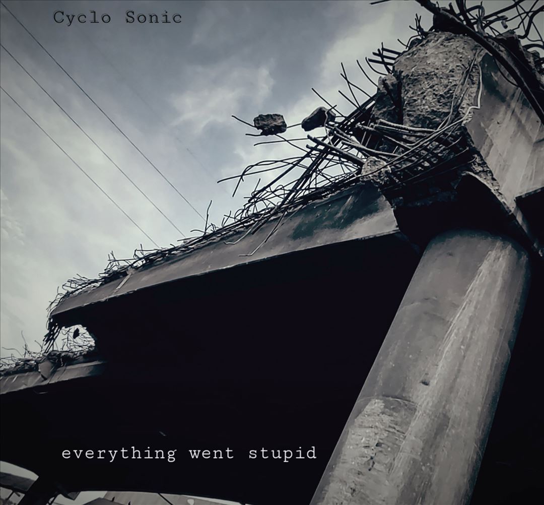 Everything Went Stupid cover art