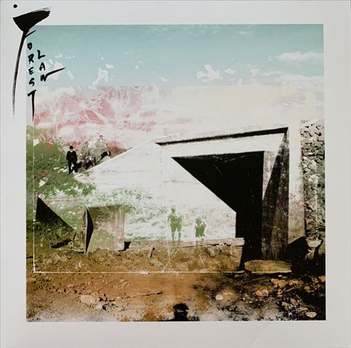 Forest Law cover art