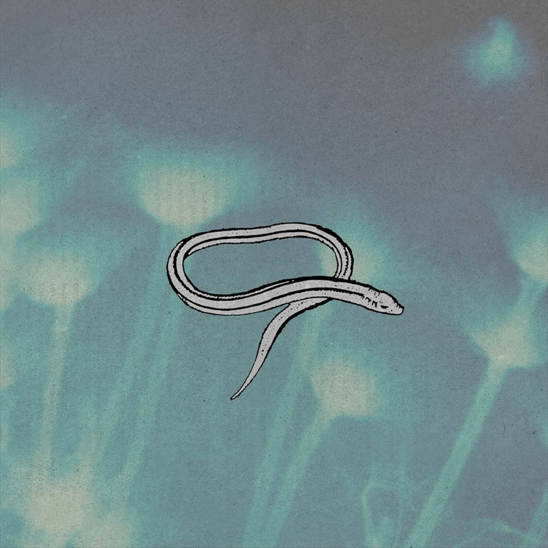 Bring on the Snakes cover art